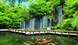 雅叙園東京‗庭園